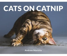 KNYGA Andrew Marttila Cats on Catnip