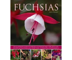 KNYGA Andrew Mikolajski Fuchsias