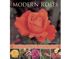 KNYGA Andrew Mikolajski Modern Roses