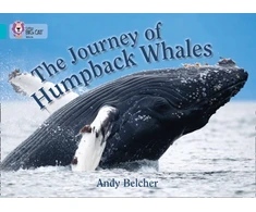 KNYGA Andy Belcher Journey of Humpback Whales