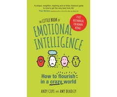 KNYGA Andy Cope Little Book of Emotional Intelligence