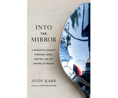 KNYGA Andy Karr Into the Mirror