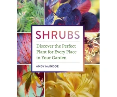 KNYGA Andy Mcindoe Shrubs, Discover the Perfect Plant for Every Place in Your Garden
