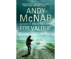 KNYGA Andy Mcnab For Valour