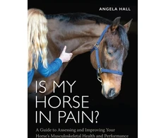 KNYGA Angela Hall Is My Horse in Pain?