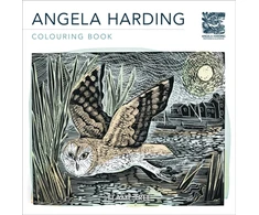 KNYGA Angela Harding Colouring Book