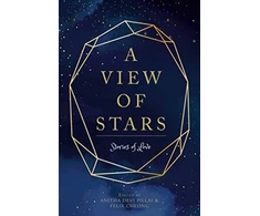 KNYGA Anitha Devi Pillai View of Stars
