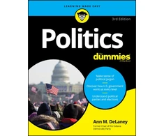 KNYGA Ann M Delaney Politics For Dummies
