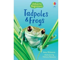 KNYGA Anna Milbourne Tadpoles and Frogs