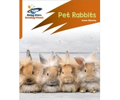 KNYGA Anne Glennie Reading Planet: Rocket Phonics – Target Practice – Pet Rabbits – Oranžinis