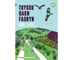 KNYGA Anni Llyn Cyfres Amdani: Trysor Garn Fadryn