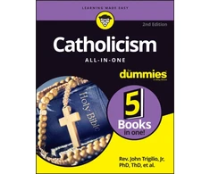 KNYGA Annie Sullivan Catholicism All-in-One For Dummies