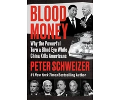 KNYGA Anon9780063061194 Blood Money
