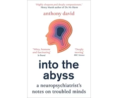 KNYGA Anthony David Into the Abyss