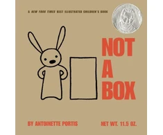 KNYGA Antoinette Portis Not a Box