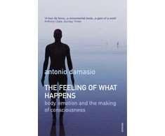 KNYGA Antonio R Damasio Feeling Of What Happens