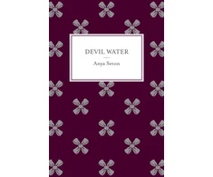 KNYGA Anya Seton Devil Vanduo