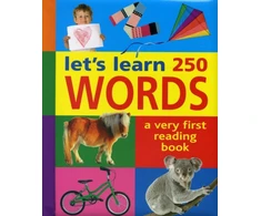 KNYGA Armadillo Let's Learn 250 Words