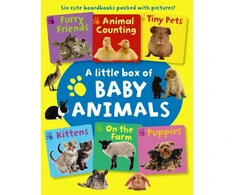 KNYGA Armadillo Press Staff Little Box of Baby Animals