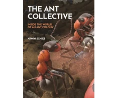 KNYGA Armin Schieb Ant Collective