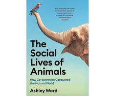 KNYGA Ashley Ward Social Lives of Animals