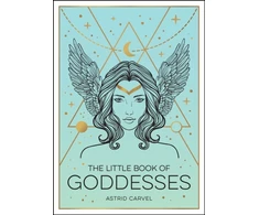 KNYGA Astrid Carvel Little Book of Goddesses