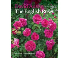 KNYGA Austin David English Roses