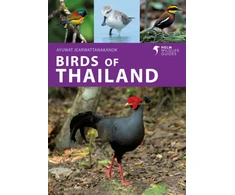 KNYGA Ayuwat Jearwattanakanok Birds of Thailand