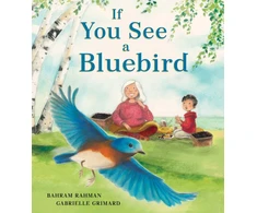 KNYGA Bahram Rahman If You See a Bluebird