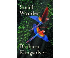 KNYGA Barbara Kingsolver Small Wonder