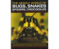 KNYGA Barbara Taylor Deadly World of Bugs, Snakes, Spiders, Crocodiles and Hundreds of Other Amazing Reptiles and Insects