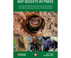 KNYGA Bat Tree Habitat Key Staff Bat Roosts in Trees