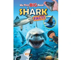 KNYGA Belinda Gallagher My First BIG book of SHARK Facts