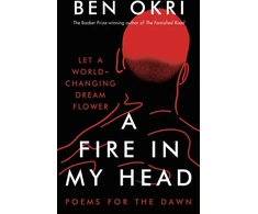 KNYGA Ben Okri Fire in My Head