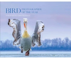 KNYGA Bird Photographer Bird Photographer of the Year Bird Photographer of the Year