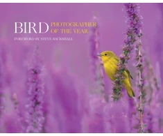 KNYGA Bird Photographer of the Year