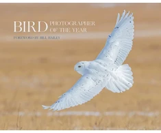 KNYGA Bird Photographer of the Year
