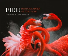 KNYGA Bird Photographer of the Year