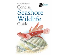 KNYGA Bloomsbury Usa Concise Seashore Wildlife Guide