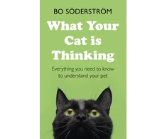 KNYGA Bo Soderstrom What Your Cat Is Thinking