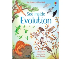KNYGA Bone Emily See Inside Evolution