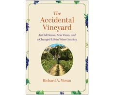 KNYGA Bookshop Accidental Vineyard
