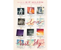 KNYGA Bookshop All the Love Under the Vast Sky