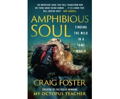 KNYGA Bookshop Amphibious Soul
