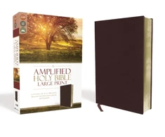 KNYGA Bookshop Amplified Holy Bible, Large Print, Bonded Leather, Burgundy