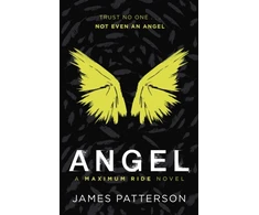 KNYGA Bookshop Angel: A Maximum Ride Novel