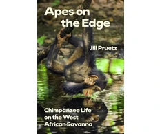 KNYGA Bookshop Apes on the Edge
