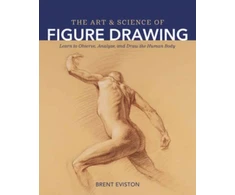 KNYGA Bookshop Art and Science of Figure Drawing