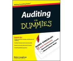 KNYGA Bookshop Auditing For Dummies