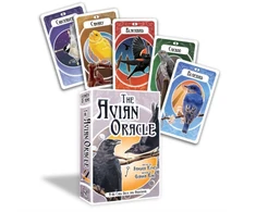 KNYGA Bookshop Avian Oracle